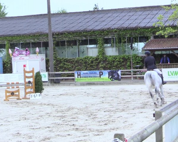 Reitturnier Nienberge 2017