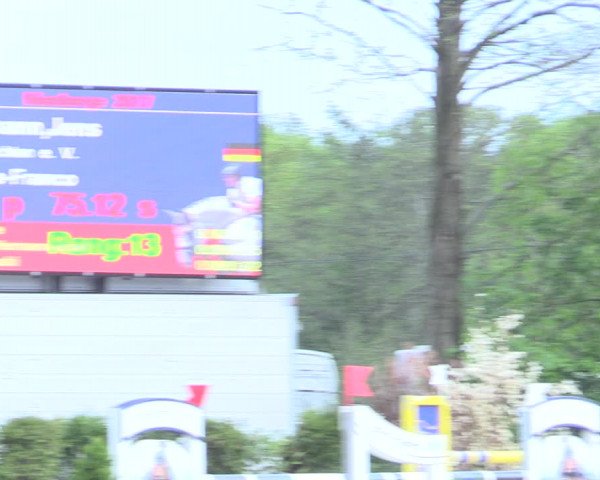 Reitturnier Nienberge 2017