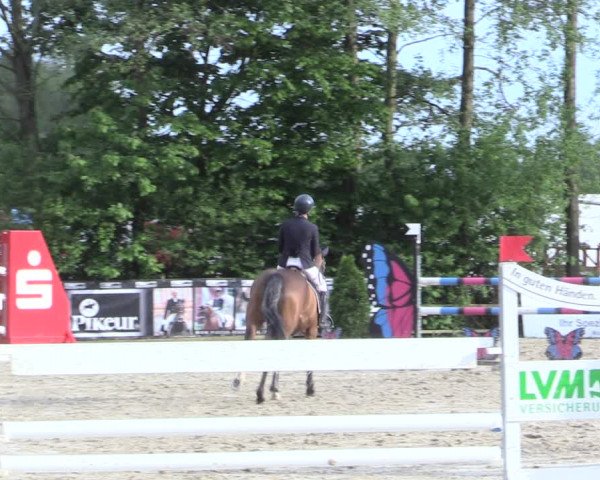 Reitturnier Nienberge 2017