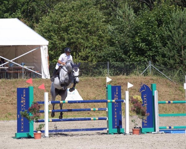 jumper Even (KWPN (Royal Dutch Sporthorse), 2009, from Singapore)