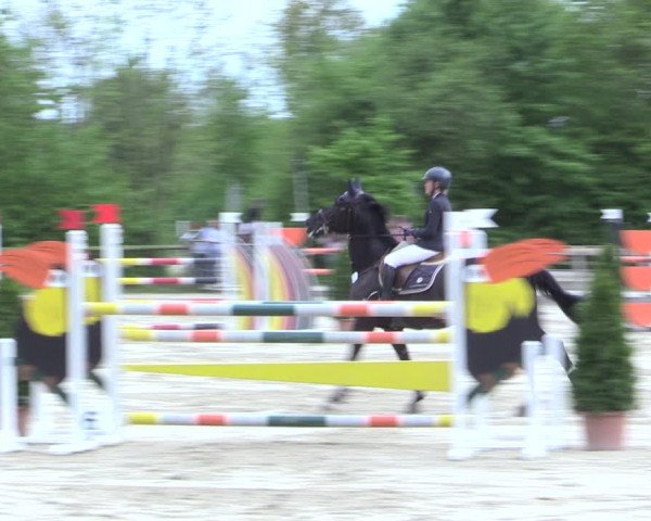 Reitturnier Nienberge 2017