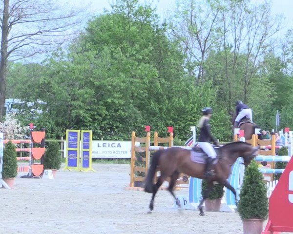 Reitturnier Nienberge 2017