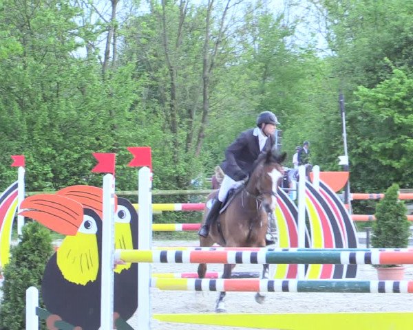 Reitturnier Nienberge 2017