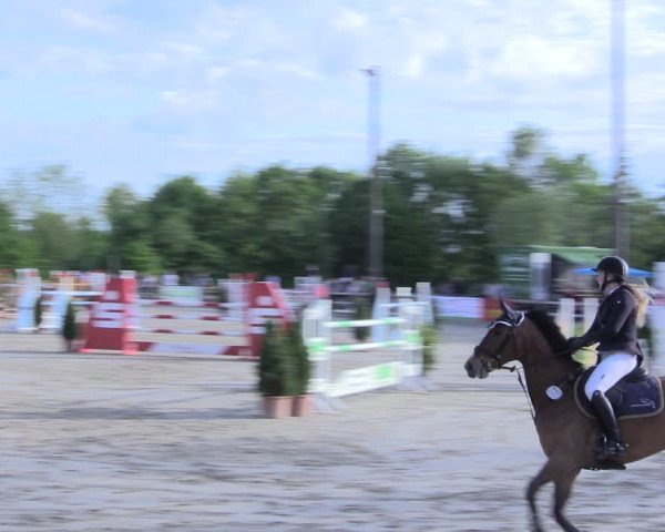 Reitturnier Nienberge 2017