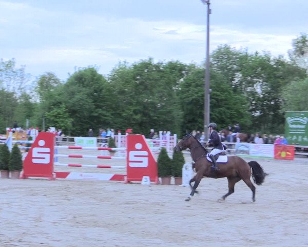 Reitturnier Nienberge 2017