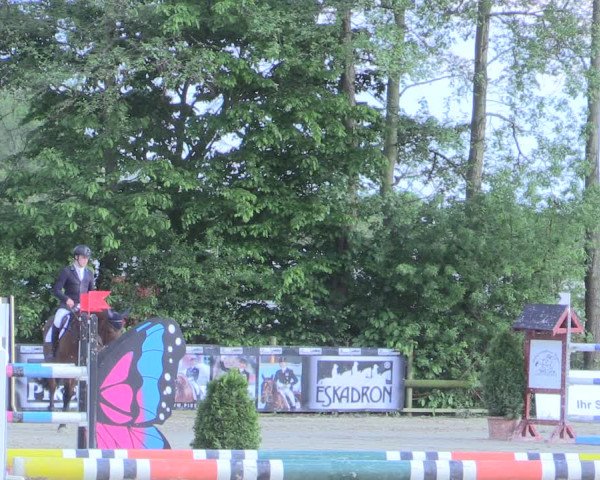 Reitturnier Nienberge 2017