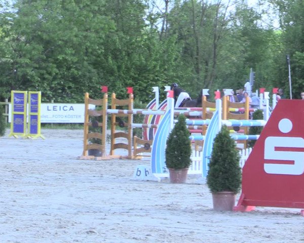 Reitturnier Nienberge 2017