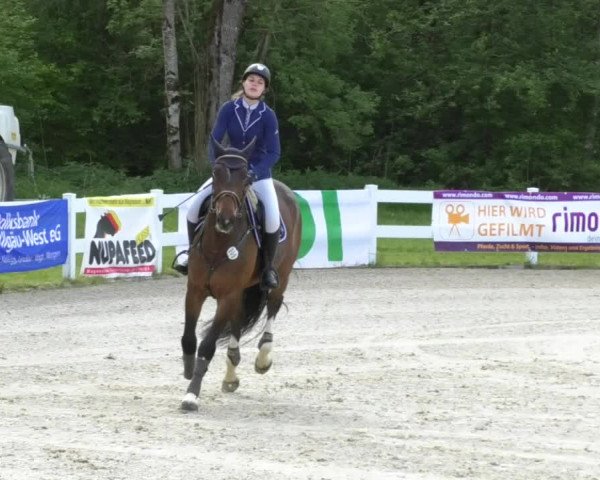 Reitturnier Isny-Rohrdorf 2017