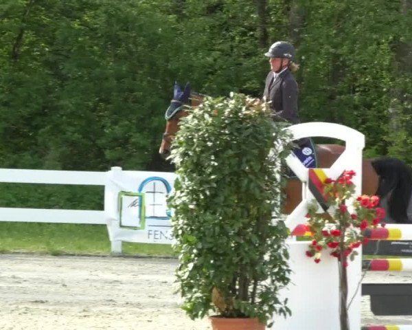 Reitturnier Isny-Rohrdorf 2017
