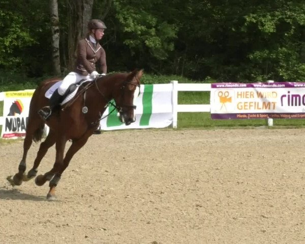 Reitturnier Isny-Rohrdorf 2017