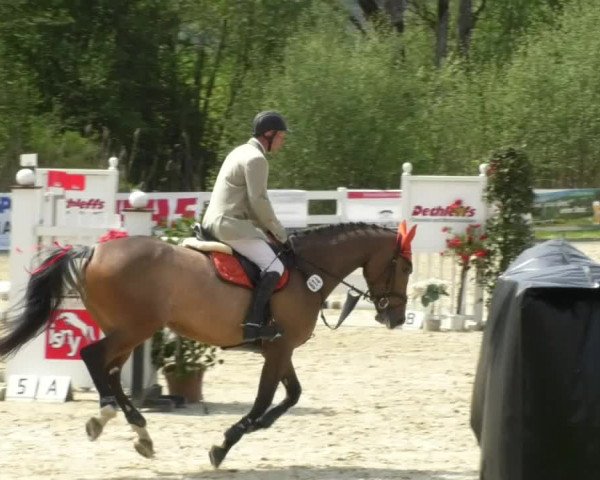 Reitturnier Isny-Rohrdorf 2017
