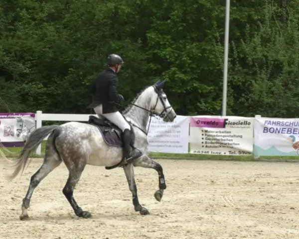 Reitturnier Isny-Rohrdorf 2017