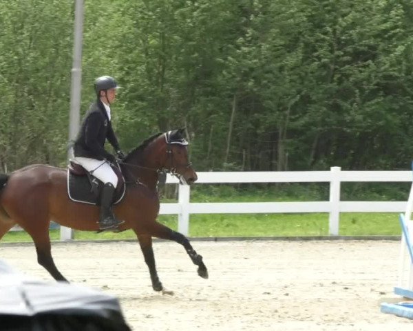 Reitturnier Isny-Rohrdorf 2017