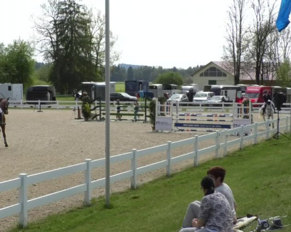 Reitturnier Isny-Rohrdorf 2017