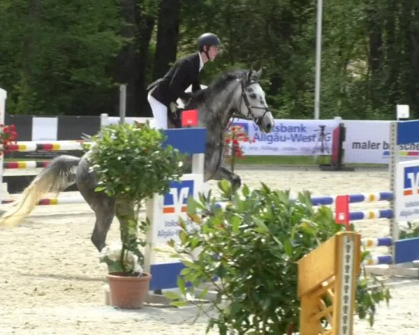 Reitturnier Isny-Rohrdorf 2017