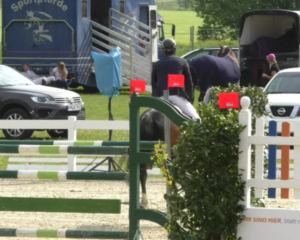 Reitturnier Isny-Rohrdorf 2017