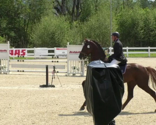 Reitturnier Isny-Rohrdorf 2017