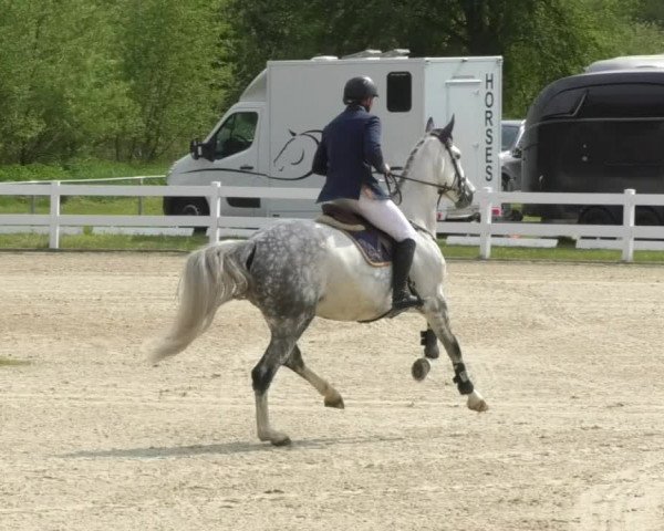 Reitturnier Isny-Rohrdorf 2017
