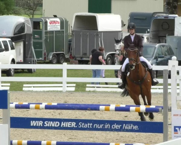 Reitturnier Isny-Rohrdorf 2017