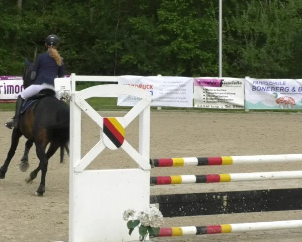 Reitturnier Isny-Rohrdorf 2017