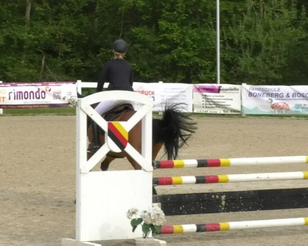 Reitturnier Isny-Rohrdorf 2017