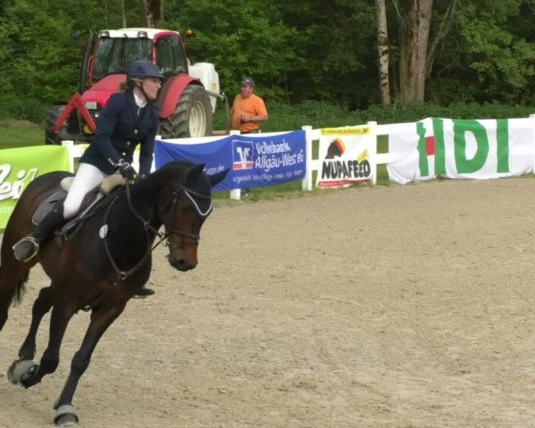Reitturnier Isny-Rohrdorf 2017
