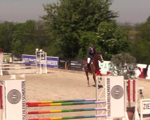 Reitturnier Oberfrauendorf 2017