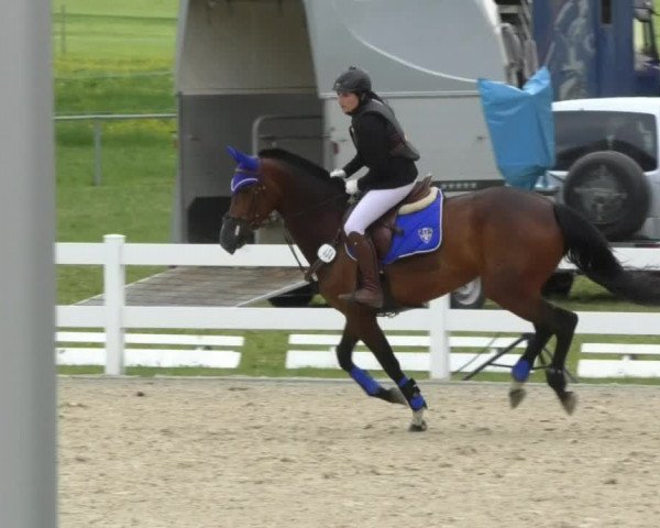 Reitturnier Isny-Rohrdorf 2017