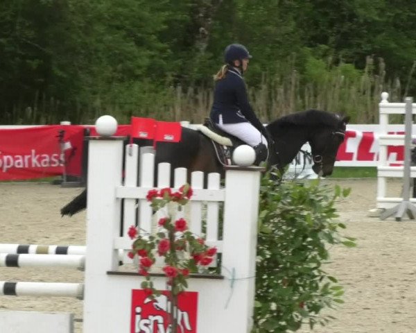 Reitturnier Isny-Rohrdorf 2017