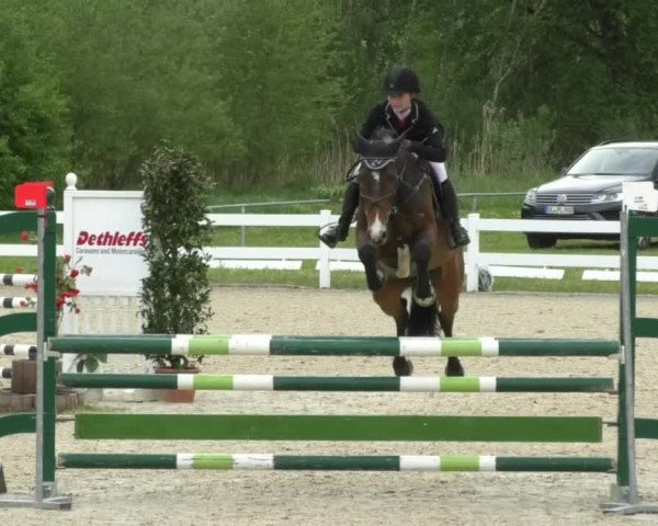 Reitturnier Isny-Rohrdorf 2017
