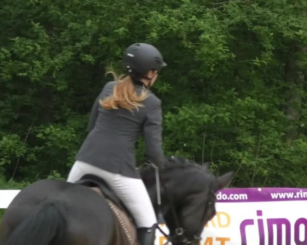 Reitturnier Isny-Rohrdorf 2017