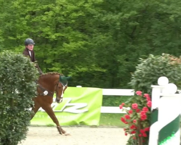 Reitturnier Isny-Rohrdorf 2017