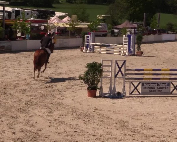 Reitturnier Oberfrauendorf 2017