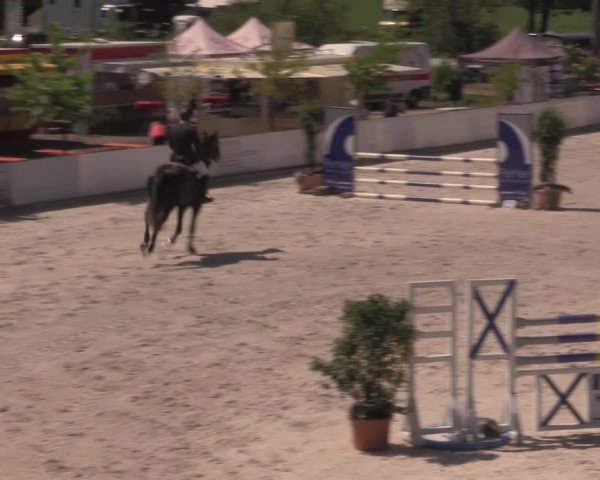Reitturnier Oberfrauendorf 2017
