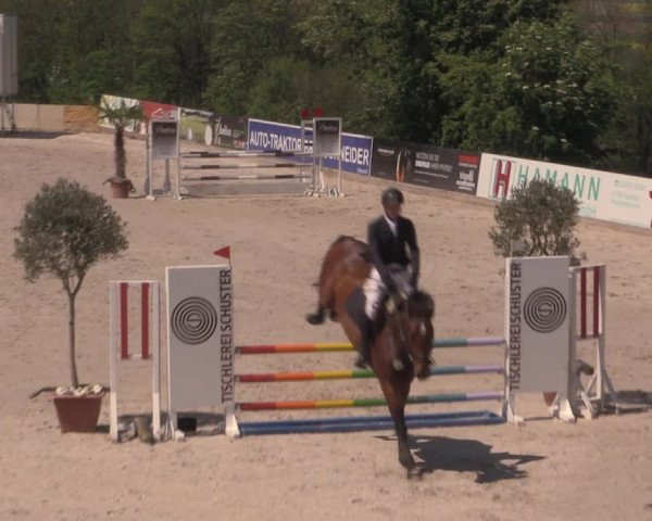 Reitturnier Oberfrauendorf 2017
