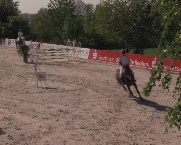 Reitturnier Oberfrauendorf 2017