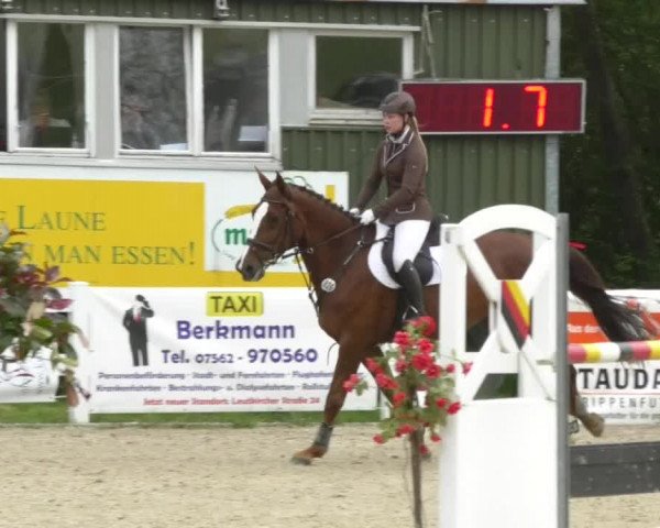 Reitturnier Isny-Rohrdorf 2017
