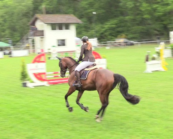 Reitturnier Stukenbrock 2017