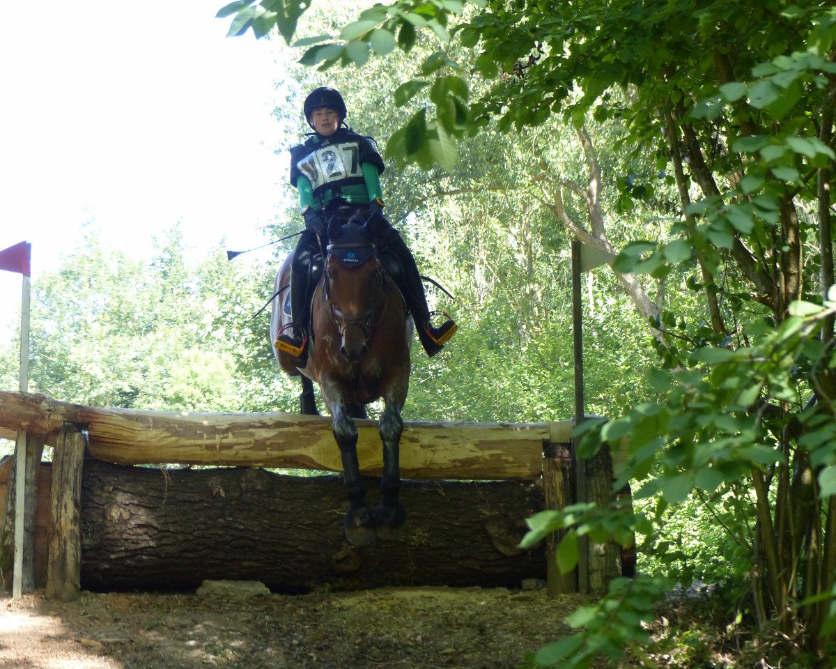 Springpferd Lajano S 2 (Holsteiner, 2008, von Lordanos)