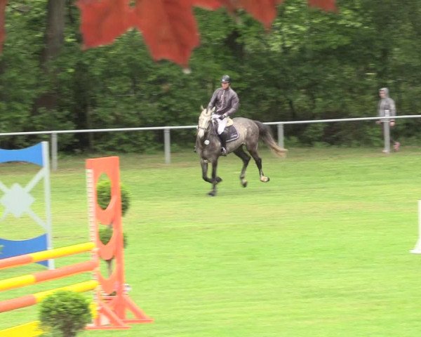 Reitturnier Stukenbrock 2017