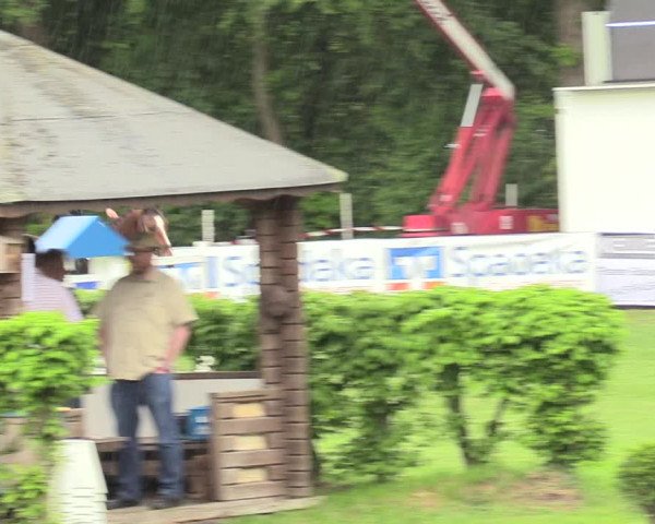 Reitturnier Stukenbrock 2017