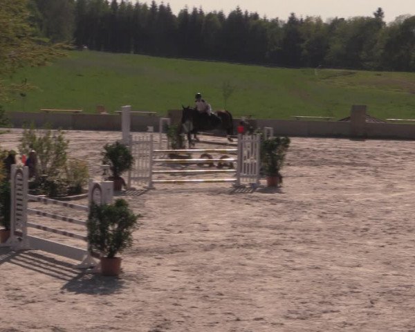 Reitturnier Oberfrauendorf 2017