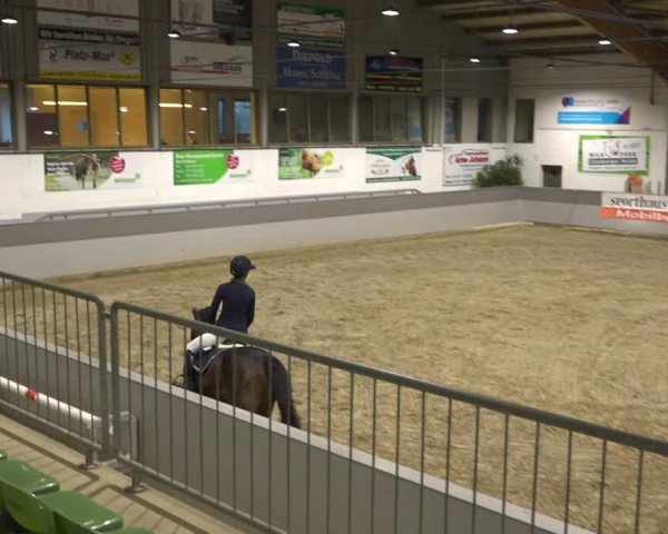 Reitturnier Luhmühlen 2021