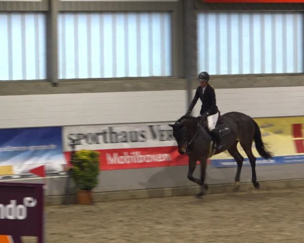 Reitturnier Luhmühlen 2021
