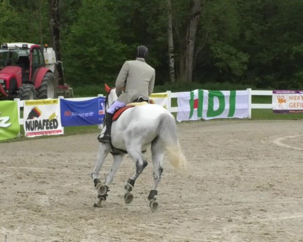 Reitturnier Isny-Rohrdorf 2017