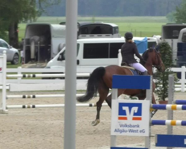 Reitturnier Isny-Rohrdorf 2017
