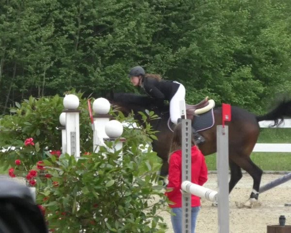 Reitturnier Isny-Rohrdorf 2017