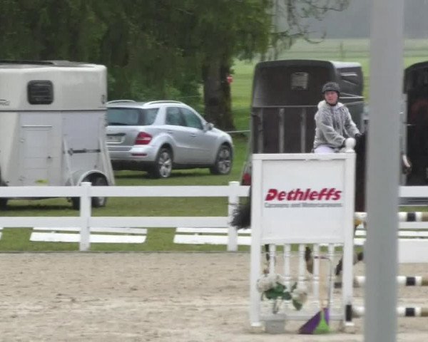 Reitturnier Isny-Rohrdorf 2017