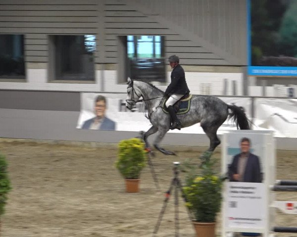 Reitturnier Luhmühlen 2021