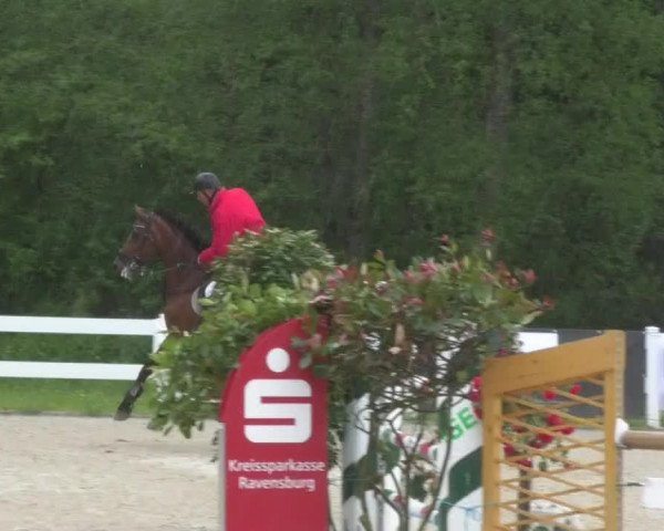 Reitturnier Isny-Rohrdorf 2017